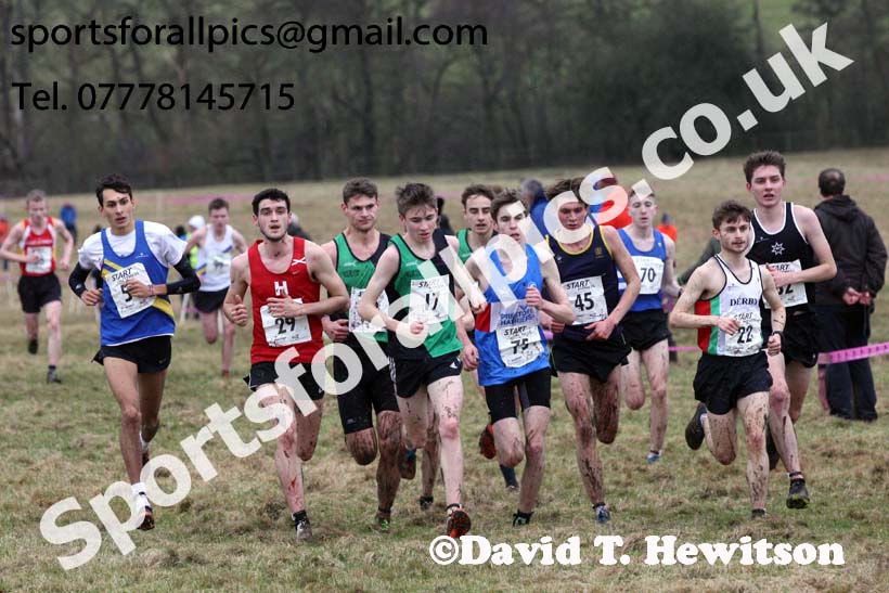 Junior men, 2018 Northern Cross Country Champs., Harewood House, Leeds. Photo: David T. Hewitson/Sports for All Pics